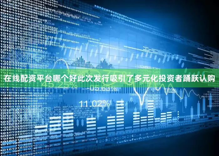 在线配资平台哪个好此次发行吸引了多元化投资者踊跃认购