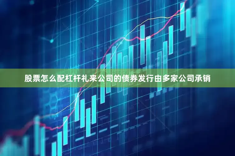 股票怎么配杠杆礼来公司的债券发行由多家公司承销