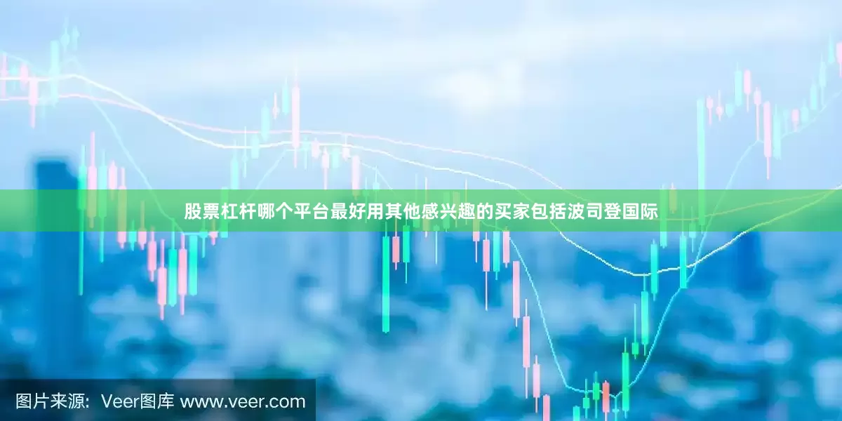 股票杠杆哪个平台最好用　　其他感兴趣的买家包括波司登国际