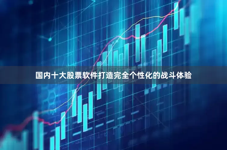 国内十大股票软件打造完全个性化的战斗体验